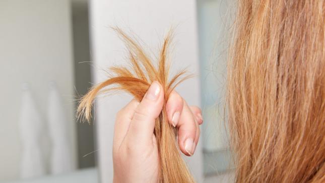 Everything You Need To Know About Split Ends